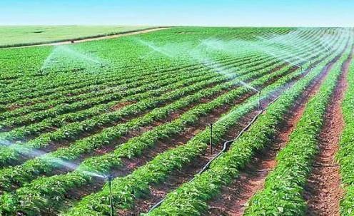 肏屄最新网站农田高 效节水灌溉